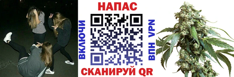 Марихуана сатива купить наркотик Духовщина